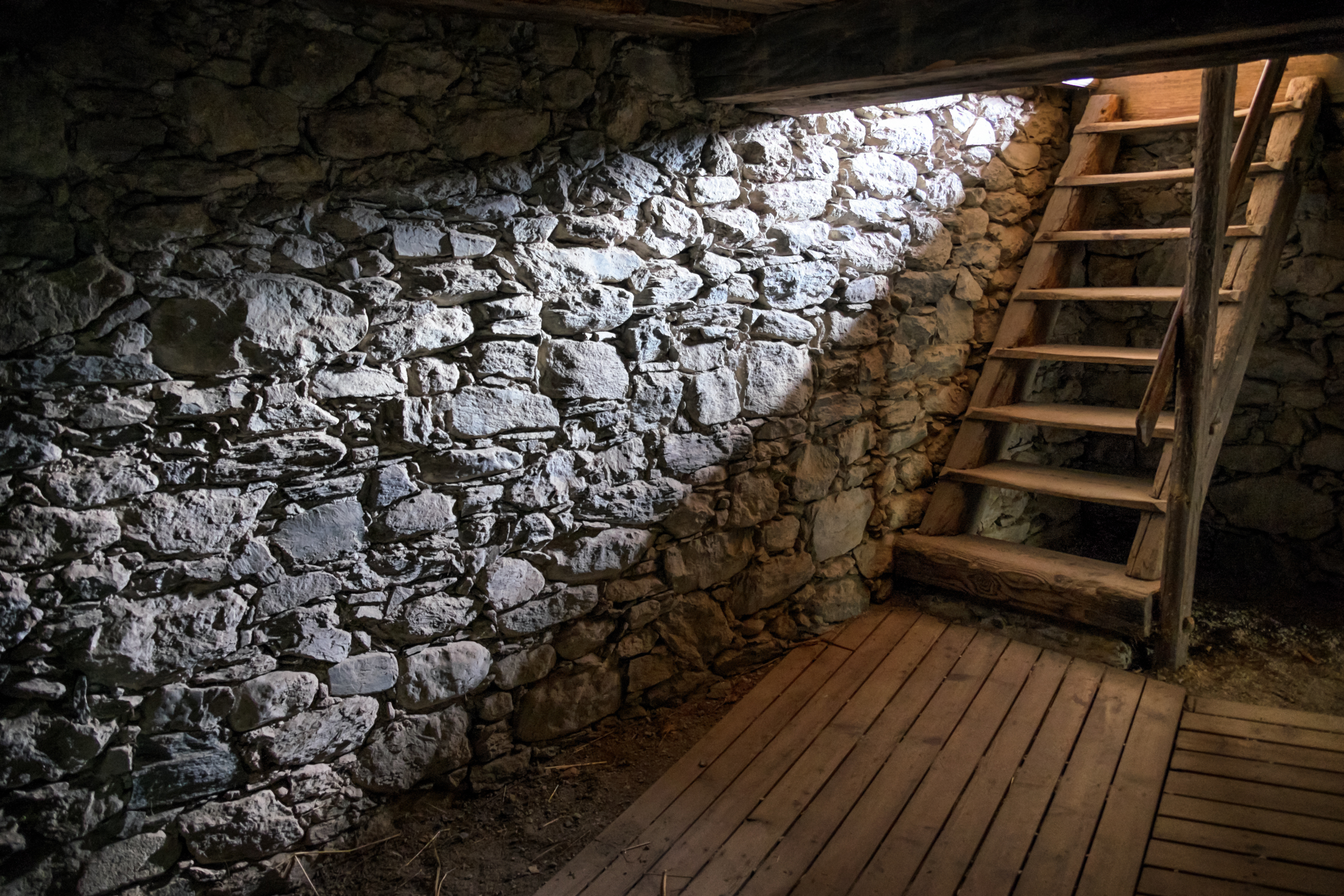 Сырой и холодный подвал. Подвал. Старый погреб. Старинный подвал. Каменная лестница в погреб.